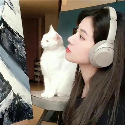 洛城英豪